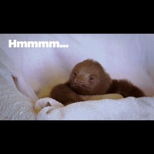 Meet your Posher, Claire